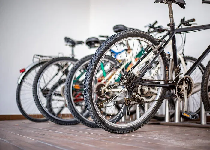 Quinta Do Vale Vendeiro Figueira da Foz